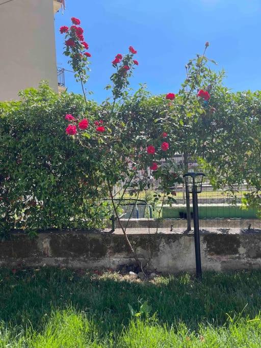 Casa Ale 5 Terre Guest House Con Giardino La Spezia Exteriör bild